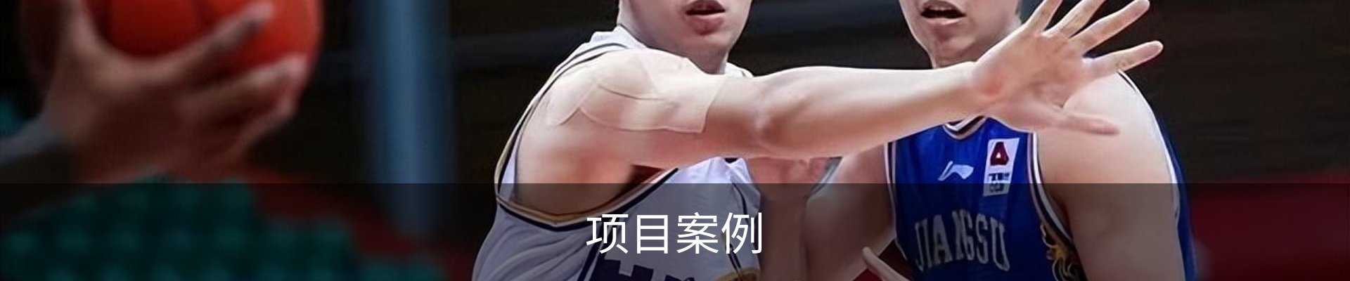 项目案例